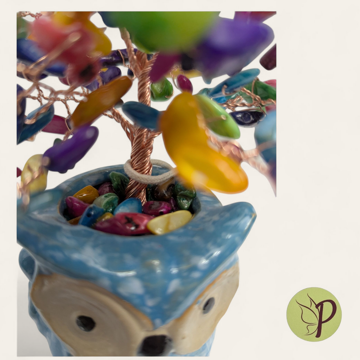 #155 - Lola - Dyed Sea Shells