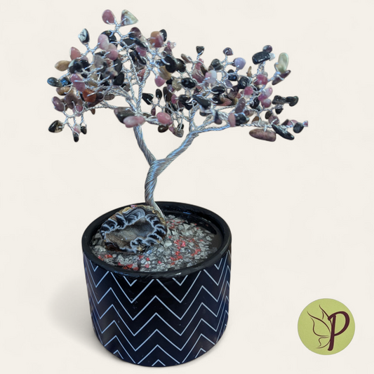 #193 - Tourmaline with Geode