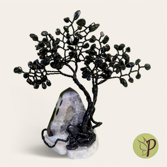 #188 - Obsidian with Agate Geode