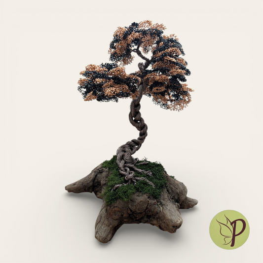 Black and Copper on Driftwood